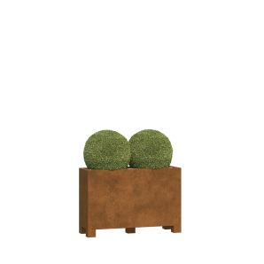 Capri